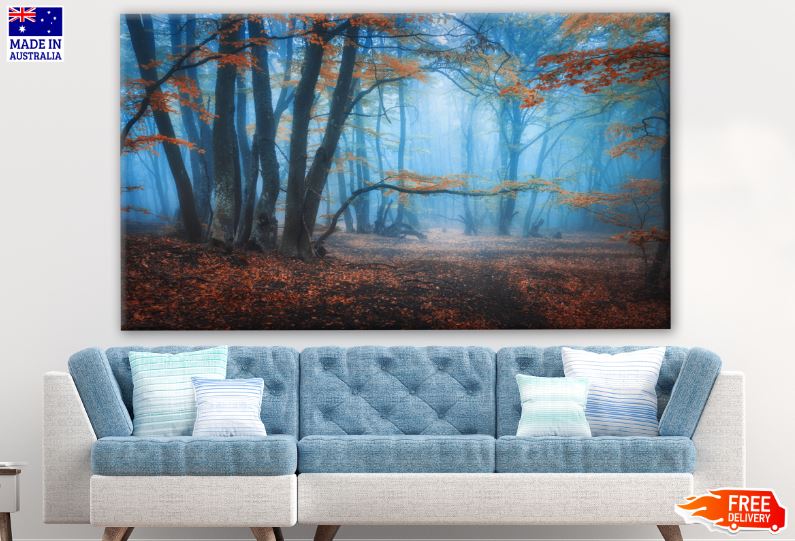 Misty Forest Photograph Print 100% Australian Made