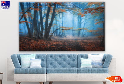Misty Forest Photograph Print 100% Australian Made