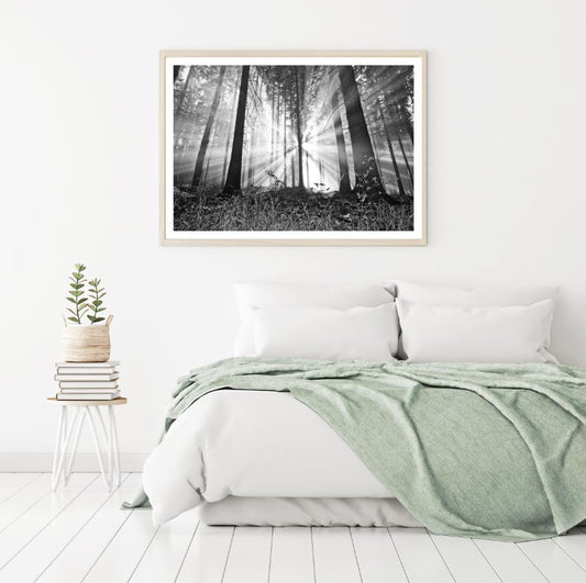 Forest Sunrays View B&W Photograph Home Decor Premium Quality Poster Print Choose Your Sizes