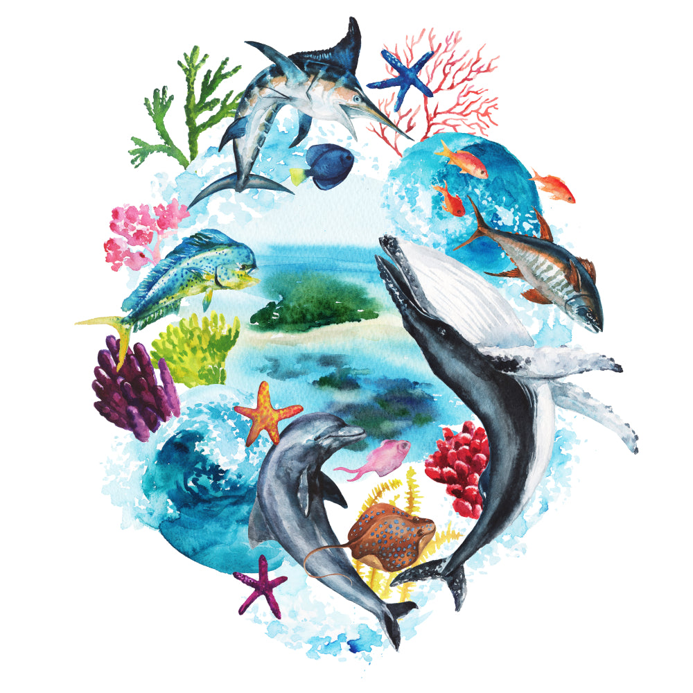 Square Canvas Sea Fish & Reefs Painting High Quality Print 100% Australian Made