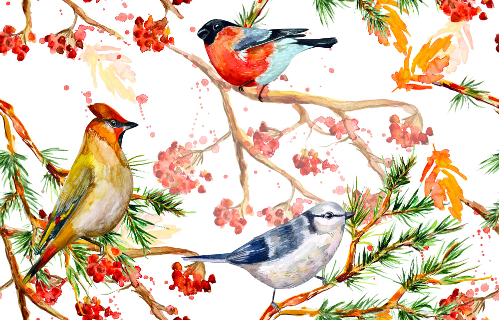 Birds & Flowers Watercolor Painting Print 100% Australian Made