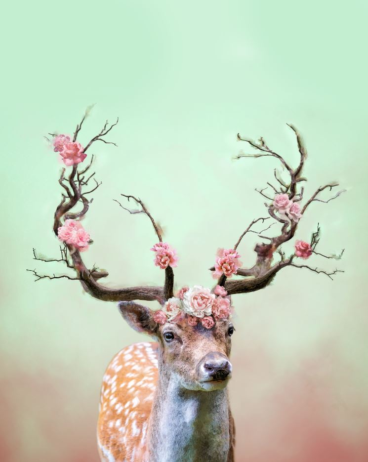Deer with Floral Antler Oil Paint Print 100% Australian Made