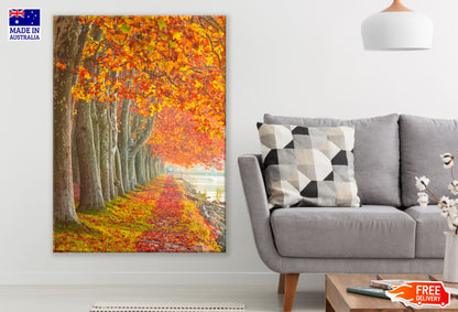 Autumn Tree Row Photograph Print 100% Australian Made