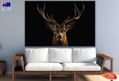 Deer with Antler Portrait Photograph Print 100% Australian Made