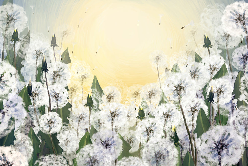 White Flowers Watercolor Painting Print 100% Australian Made