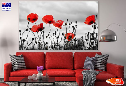 Red Poppy Flower Field Photograph Print 100% Australian Made