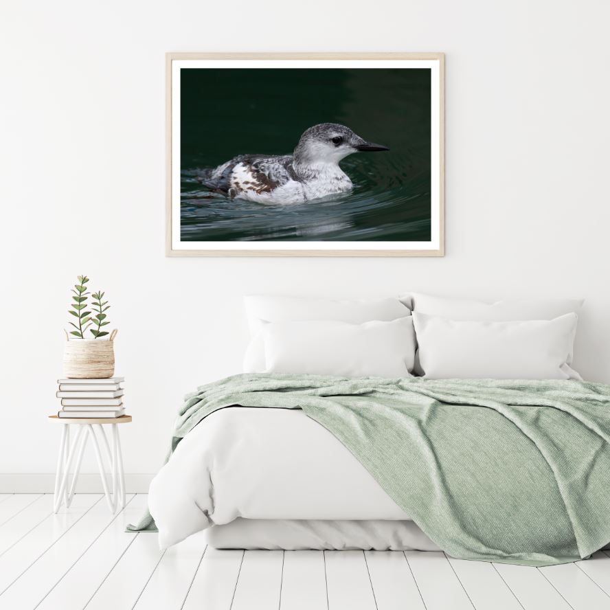 Grey Bird on River Photograph Home Decor Premium Quality Poster Print Choose Your Sizes