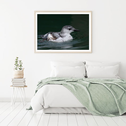Grey Bird on River Photograph Home Decor Premium Quality Poster Print Choose Your Sizes