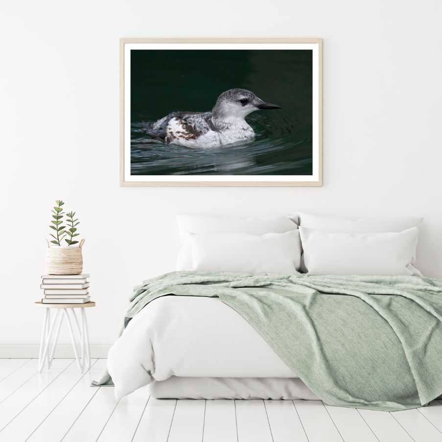 Bird on Water Photograph Home Decor Premium Quality Poster Print Choose Your Sizes