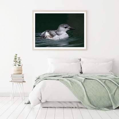 Bird on Water Photograph Home Decor Premium Quality Poster Print Choose Your Sizes