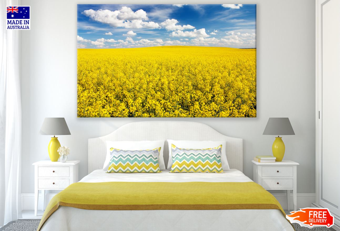 Yellow Flower Field Photograph Print 100% Australian Made