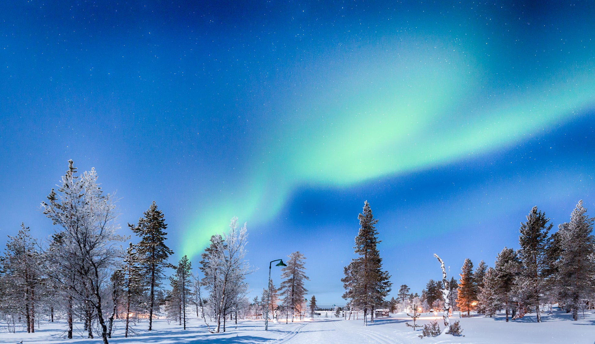 Aurora on a Snow Forest Photograph Print 100% Australian Made