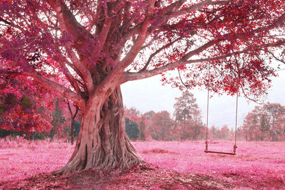 Swing on Pink Tree Photograph Home Decor Premium Quality Poster Print Choose Your Sizes