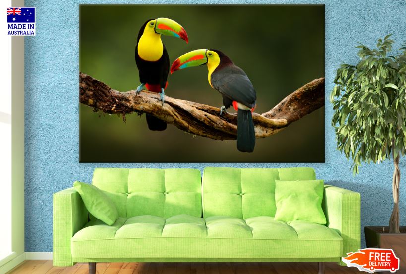 Keel-billed Toucan Bird on a Tree Photograph Print 100% Australian Made