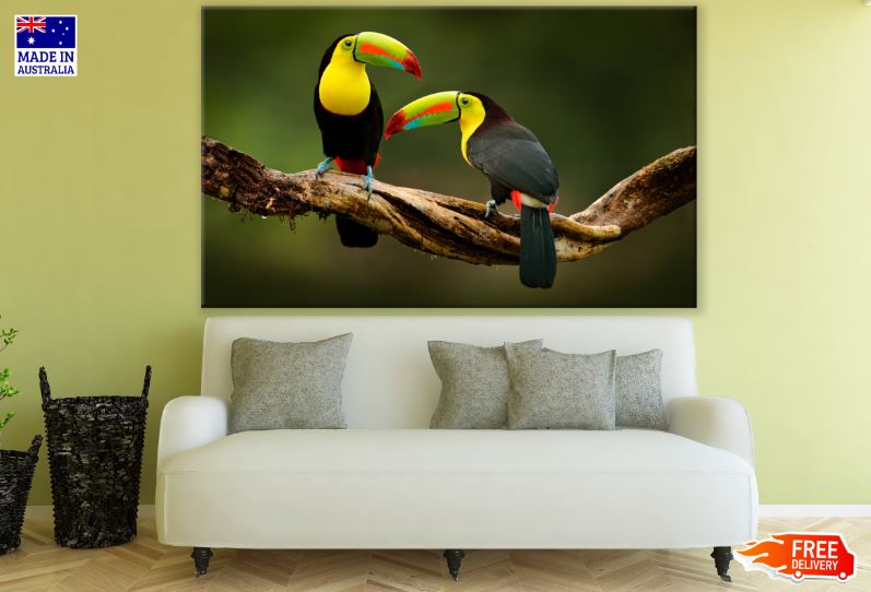 Toucan Birds Sitting On a Tree Photograph Print 100% Australian Made