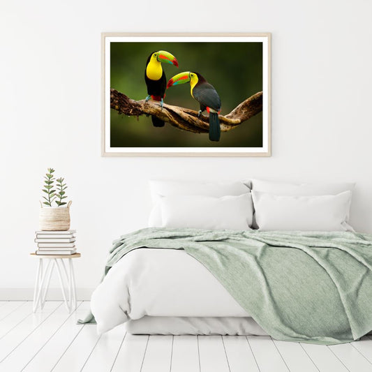 Toucan Bird on Tree Photograph Home Decor Premium Quality Poster Print Choose Your Sizes