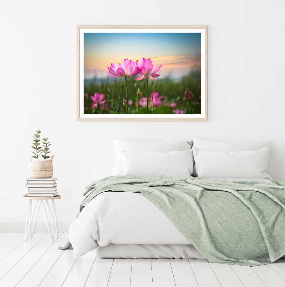 Lotus Flowers Closeup Photograph Home Decor Premium Quality Poster Print Choose Your Sizes