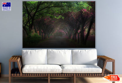 Dark Tree Tunnel Photograph Print 100% Australian Made