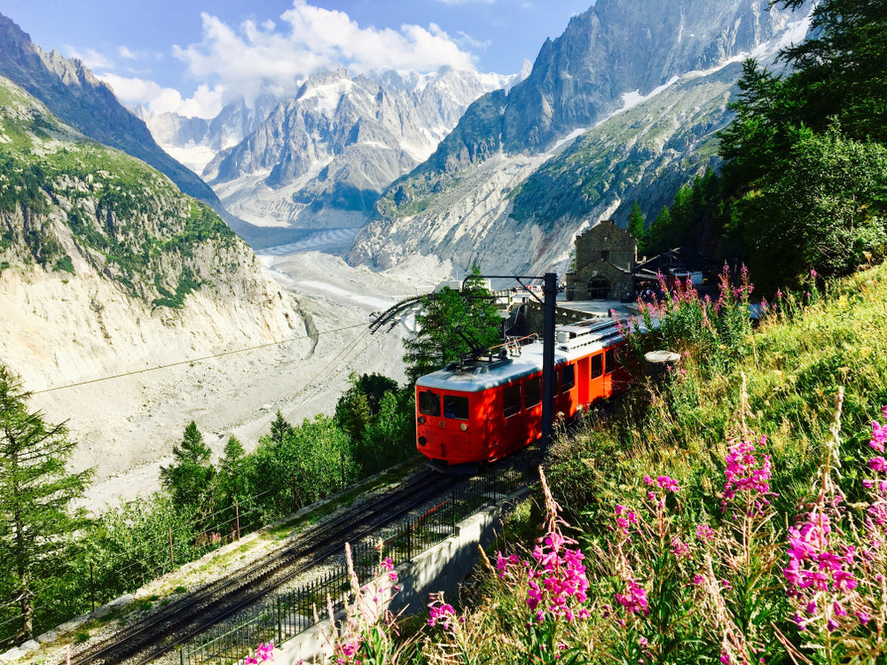 Train & Nature Scenery Photograph Home Decor Premium Quality Poster Print Choose Your Sizes