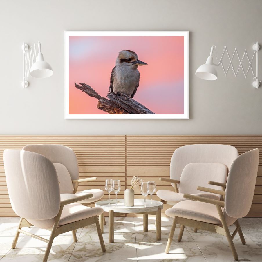 Kookaburra Bird Closeup View Home Decor Premium Quality Poster Print Choose Your Sizes