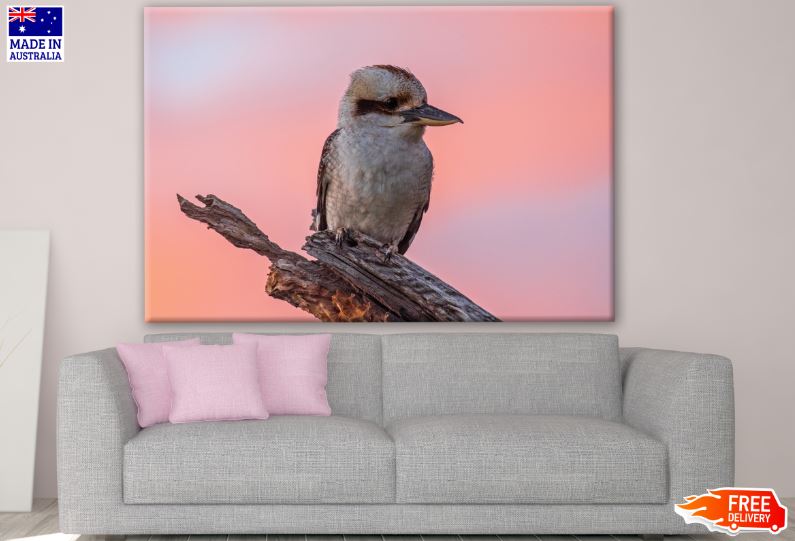 Kookaburra Bird Portrait Photograph Print 100% Australian Made