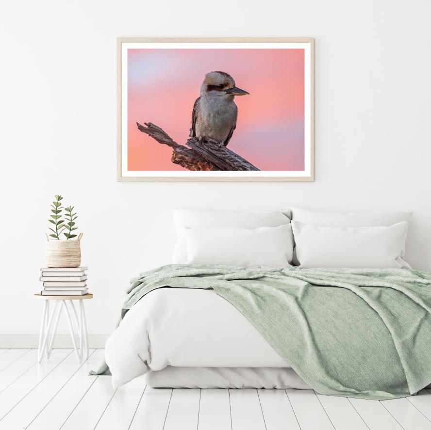 Kookaburra Bird on a Tree Scenery Photograph Home Decor Premium Quality Poster Print Choose Your Sizes
