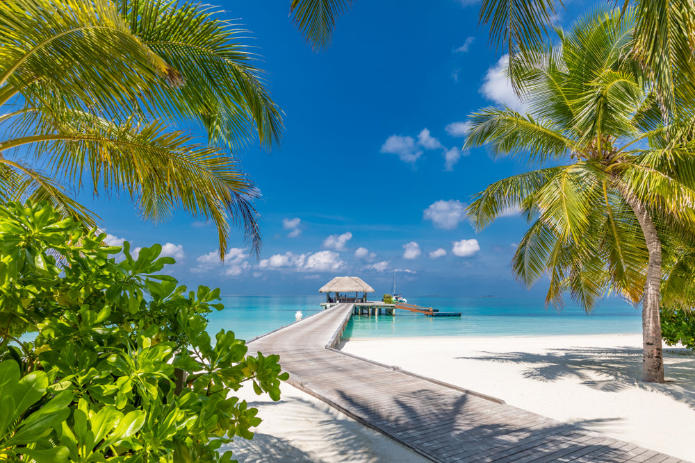 Stunning Beach View with Huts on Pier & Palm Trees Photograph Print 100% Australian Made