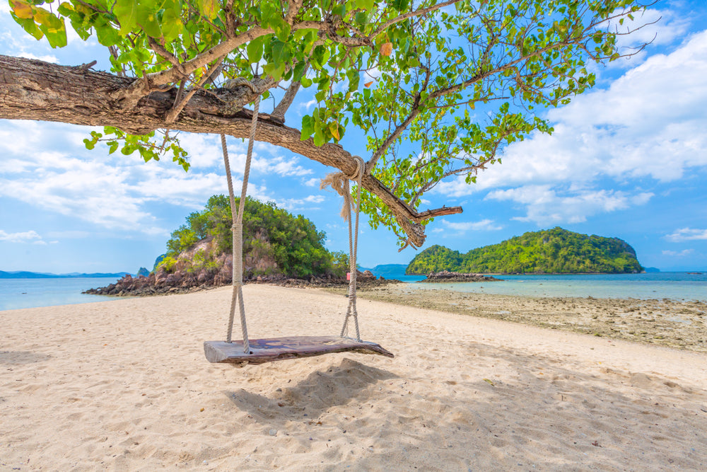 Swing & Tree on Beach Photograph Print 100% Australian Made