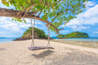 Swing on Tree in Beach Photograph Home Decor Premium Quality Poster Print Choose Your Sizes