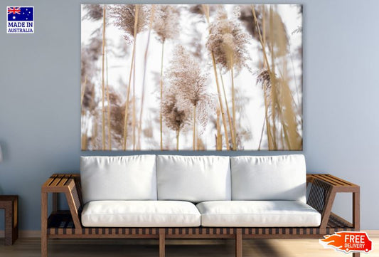 Dry Flowers Closeup Photograph Print 100% Australian Made