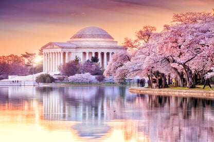 Building Near Lake with Blossom Forest Photograph Print 100% Australian Made
