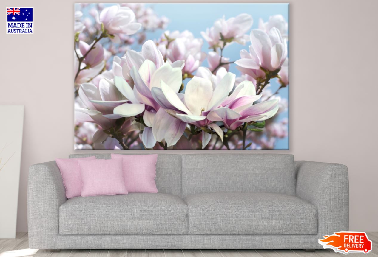 Pink & White Flowers Closeup View Print 100% Australian Made