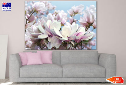 Pink & White Flowers Closeup View Print 100% Australian Made