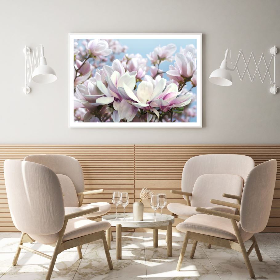 Pink & White Flowers Closeup View Home Decor Premium Quality Poster Print Choose Your Sizes