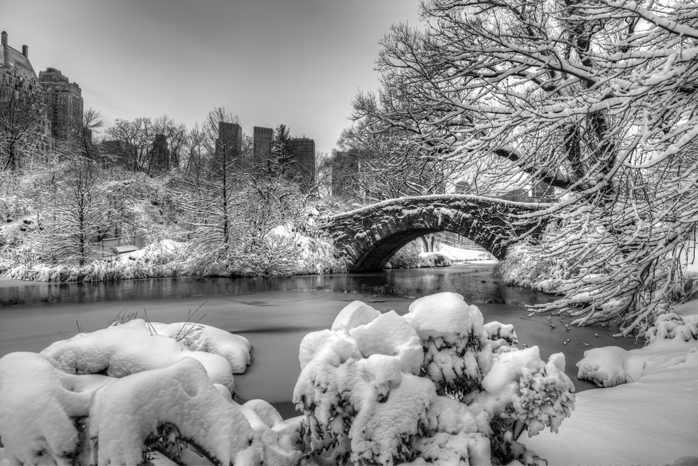 Snow Freezed Lake And Forest Photograph Print 100% Australian Made