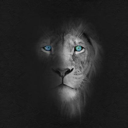 Portrait Stunning eyes Lion Print 100% Australian Made