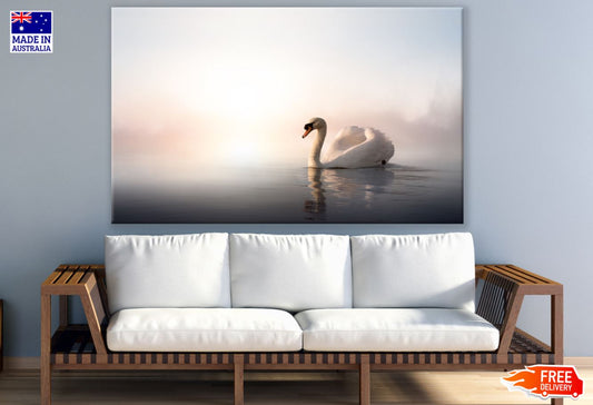 Swan on a Lake Photograph Print 100% Australian Made