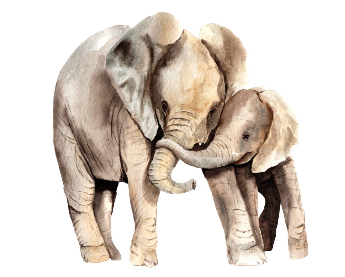 Elephant & Baby Watercolor Painting Print 100% Australian Made
