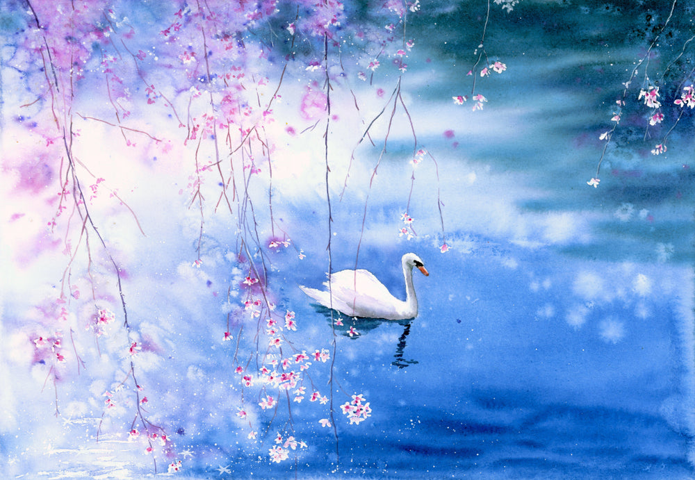 Swan in Lake & Flowers Photograph Home Decor Premium Quality Poster Print Choose Your Sizes