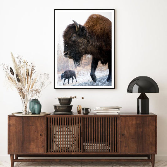 Bison Cows Portrait Photograph Home Decor Premium Quality Poster Print Choose Your Sizes