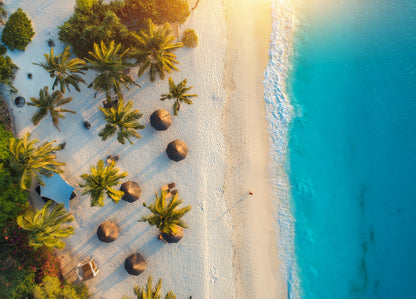 Aerial view of Umbrellas, Palms on the Sandy Beach at Sunset Photograph Print 100% Australian Made