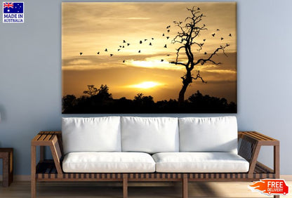 Dead Tree & Birds Flying View at Sunset Photograph Print 100% Australian Made