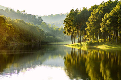 Lake & Forest Scenery Photograph Print 100% Australian Made