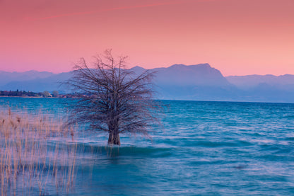 Tree in Lake Pink Sky Photograph Print 100% Australian Made