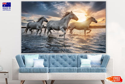 Horses Running on Water Photograph Print 100% Australian Made
