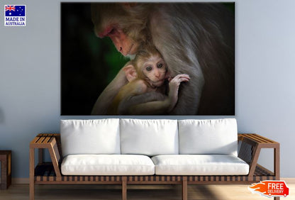 Monkey & Baby Portrait Photograph Print 100% Australian Made