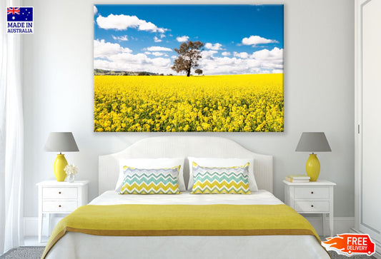 Yellow Flower Field Photograph Print 100% Australian Made