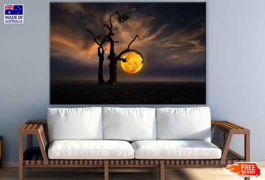 Tree & Moon Stunning Photograph Print 100% Australian Made