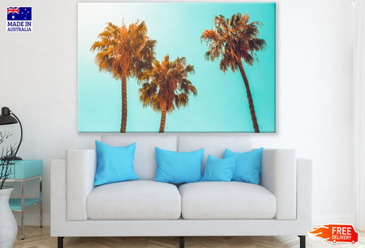 Palm Trees Photograph Print 100% Australian Made