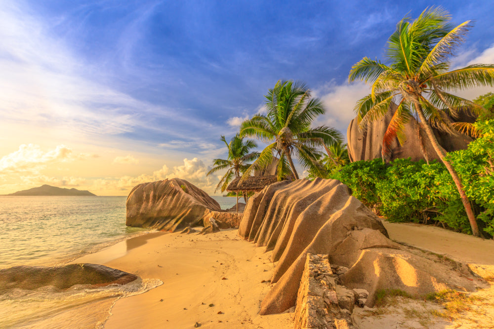 Beach with Palm Trees & Rocks Photograph Print 100% Australian Made